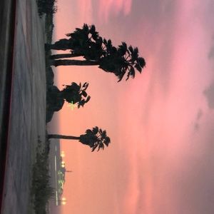 Meet your Posher, Landon